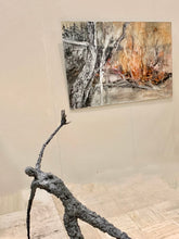 Load image into Gallery viewer, Notre maison brûle...