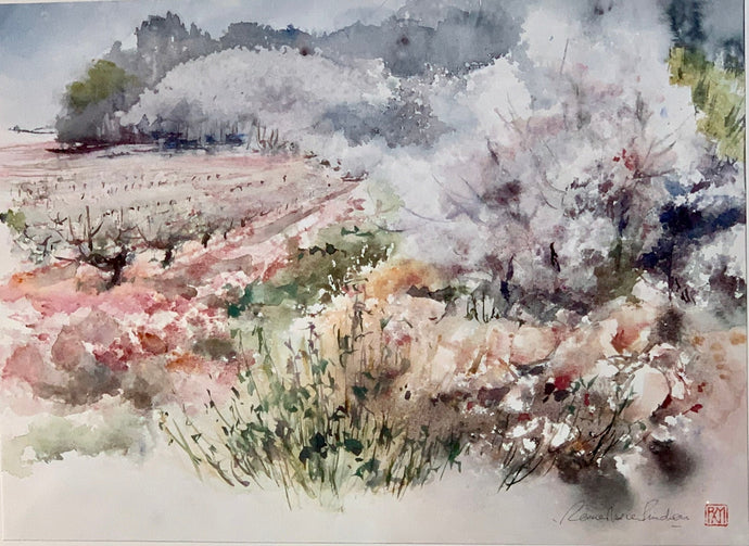 4 - BANYULS dels Aspres (Pyrénées Orientales) - Tu 12 & We 13 October