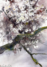 Load image into Gallery viewer, Pétales et lichens
