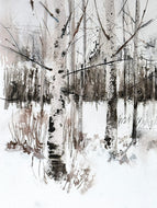 Hiver des bouleaux