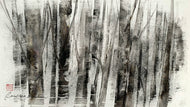 Folio - Séquence arbres noir et blanc