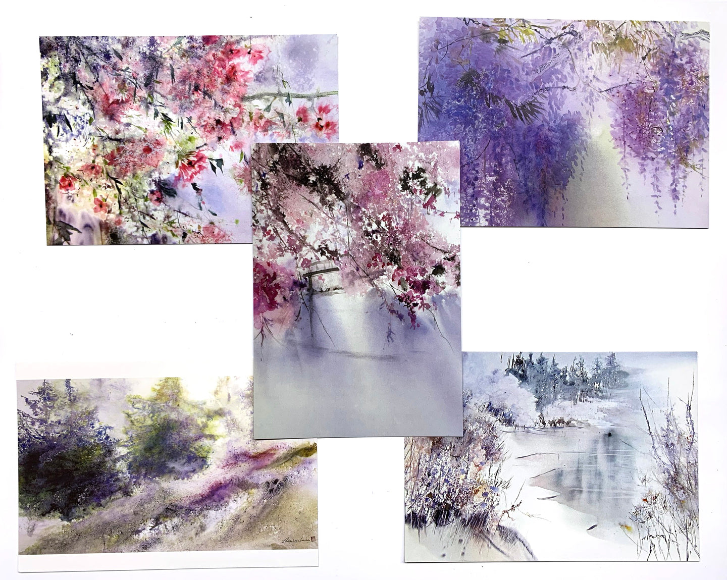 Série de 5 cartes : Fleurs et paysages 1